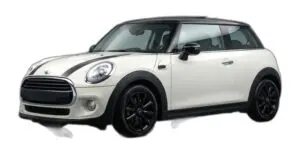 Abgasklappensteuerung für Mini Dreituerer