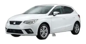 Abgasklappensteuerung für Seat Ibiza